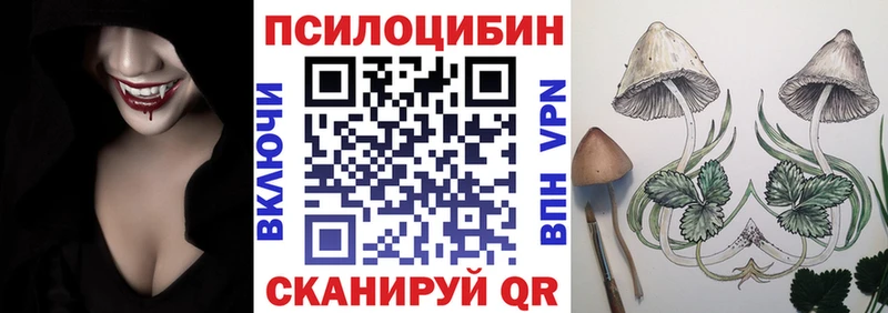 где можно купить   Снежногорск  Псилоцибиновые грибы GOLDEN TEACHER 